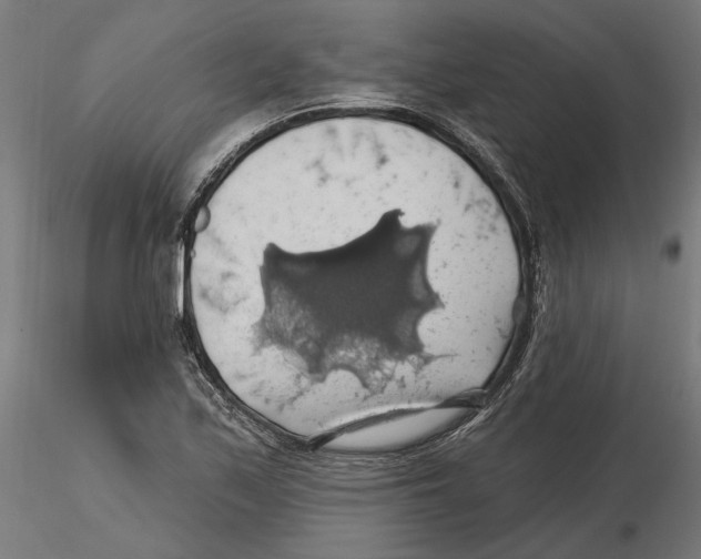 X0000116491171201001061135