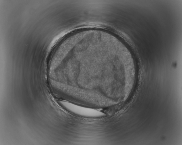 X0000116491172201001061135