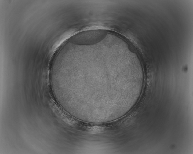 X0000116491173201001061135