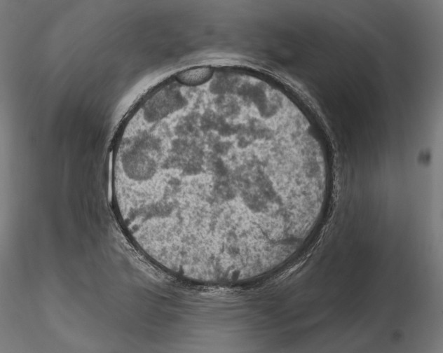 X0000116491175201001061135