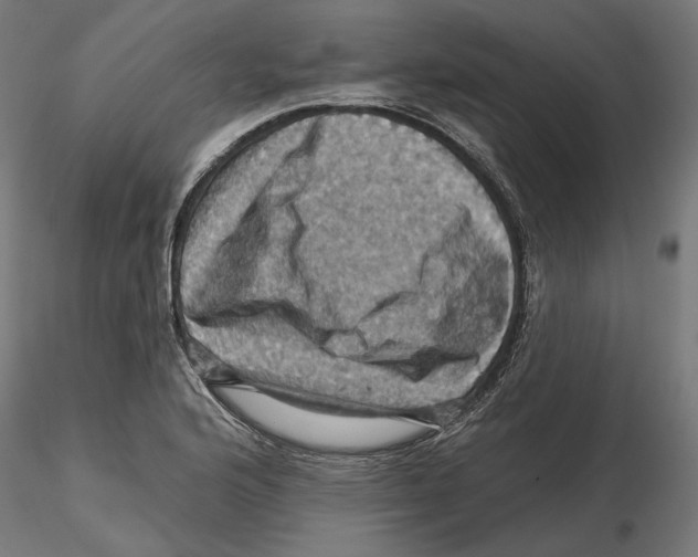 X0000116491176201001061135