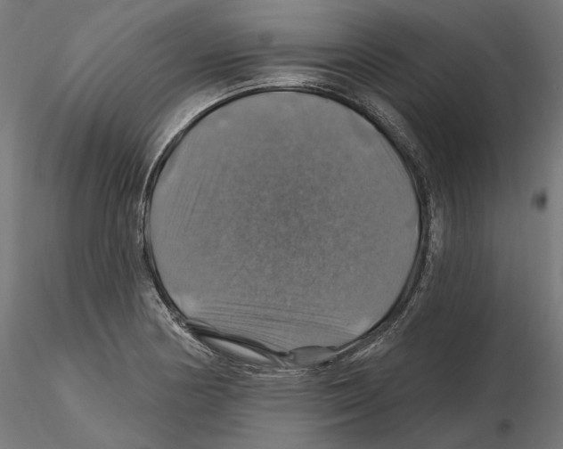 X0000116491178201001061135