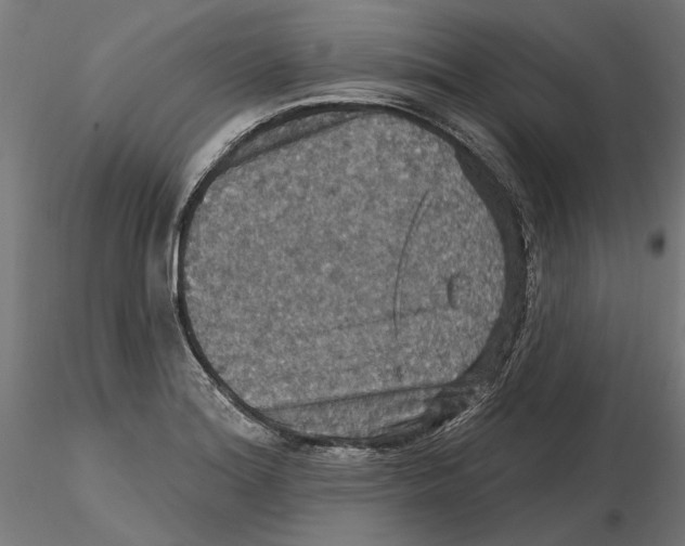 X0000116491180201001061135