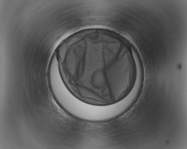 X0000116491181201001061135