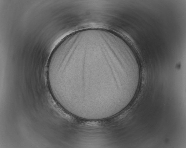 X0000116491182201001061135