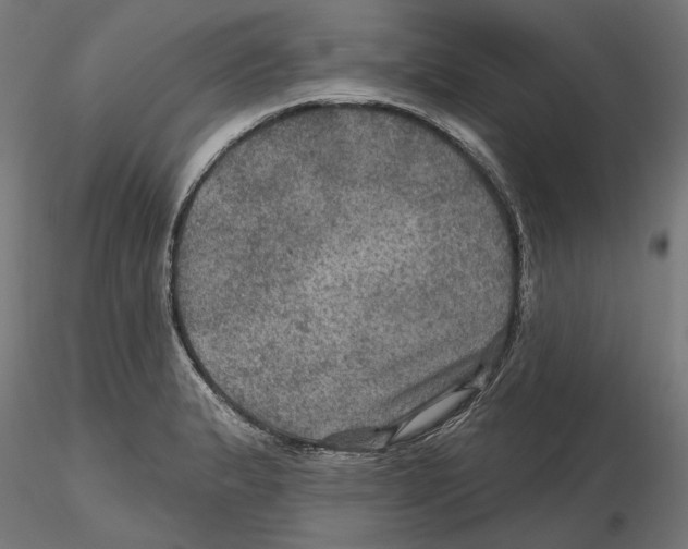 X0000116491183201001061135