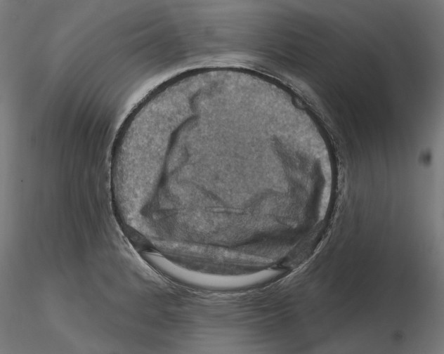 X0000116491184201001061135