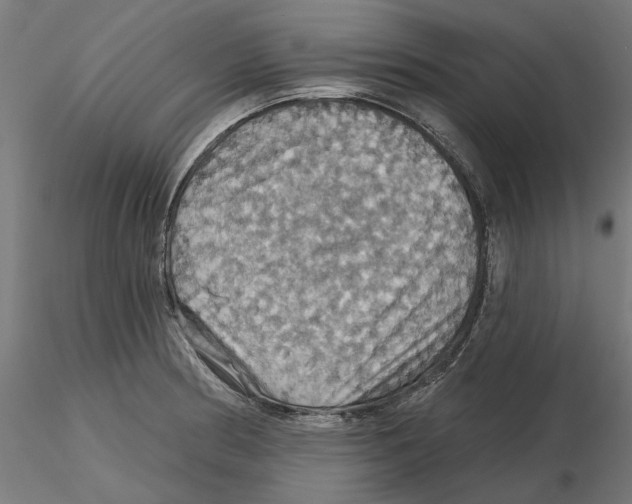 X0000116491186201001061135