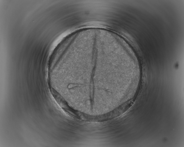 X0000116491188201001061135