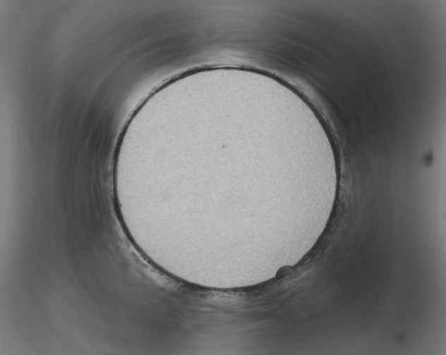 X0000116491191201001061135