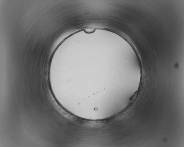 X0000116491195201001061135