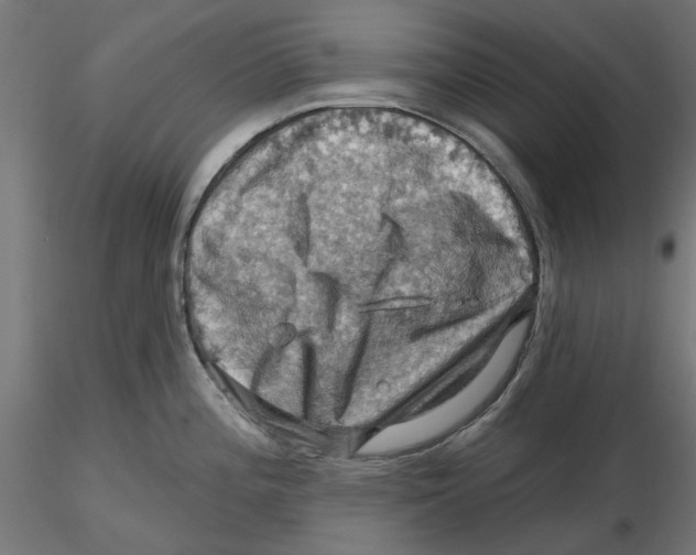 X0000116491196201001061135