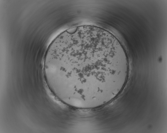 X0000116491198201001061135