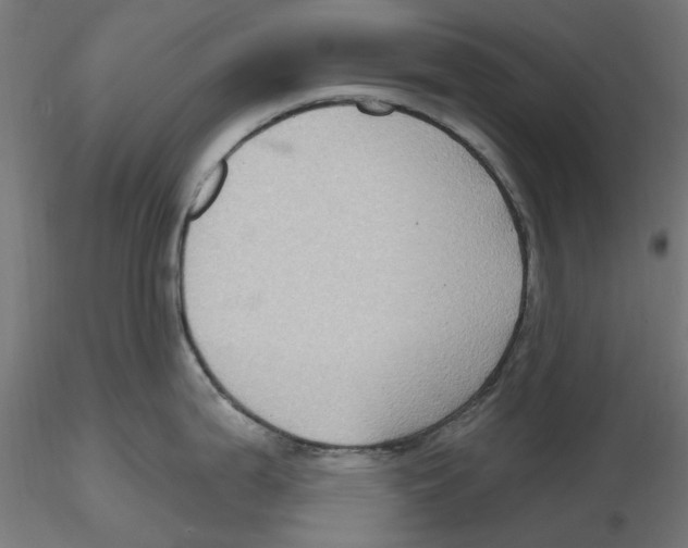 X0000116491199201001061134