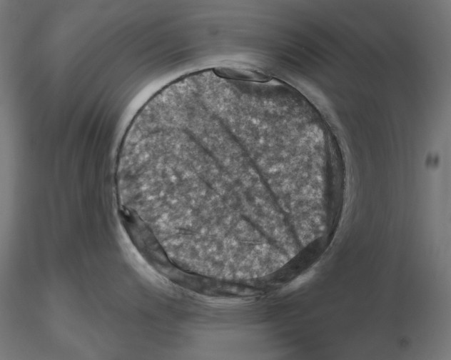 X0000116491200201001061134