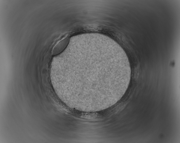 X0000116491201201001061134