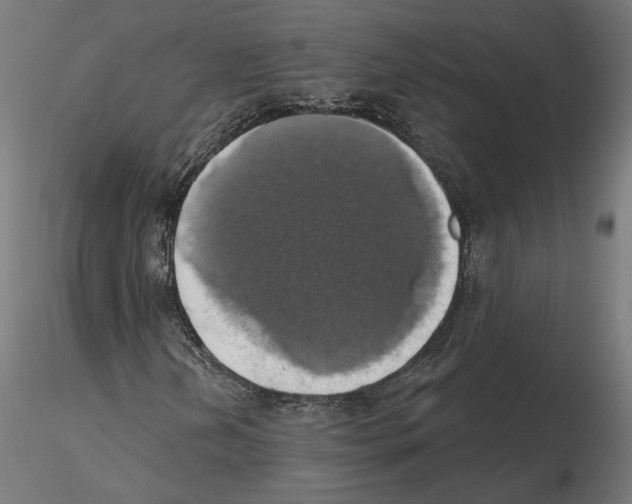 X0000116491202201001061134