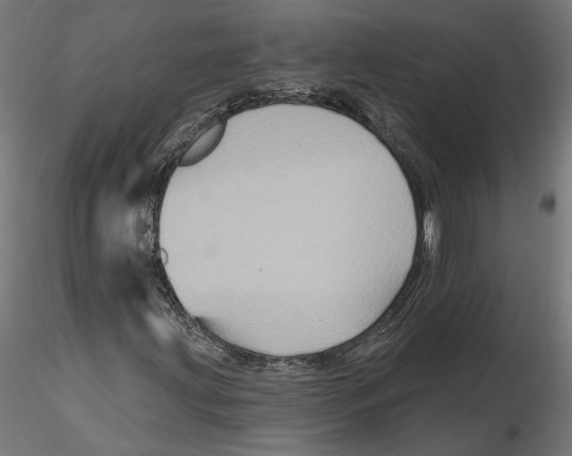 X0000116491203201001061134