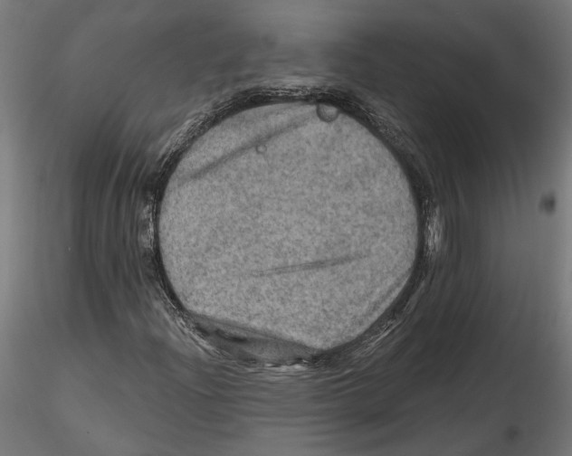 X0000116491204201001061134