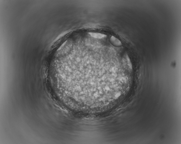 X0000116491206201001061134