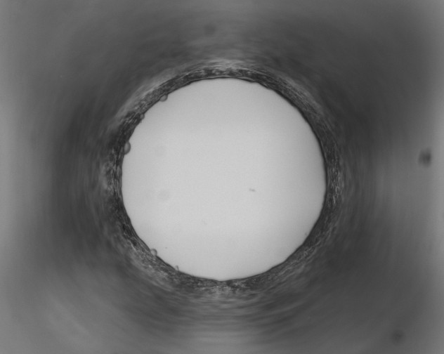 X0000116491207201001061134