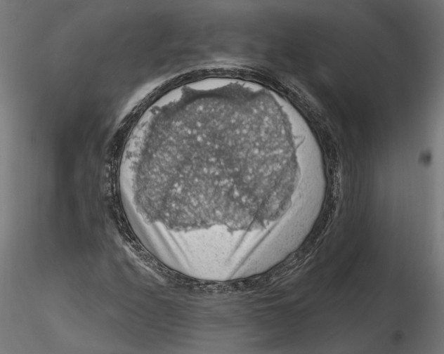 X0000116491208201001061134