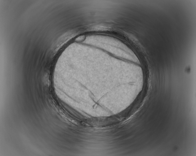 X0000116491209201001061134