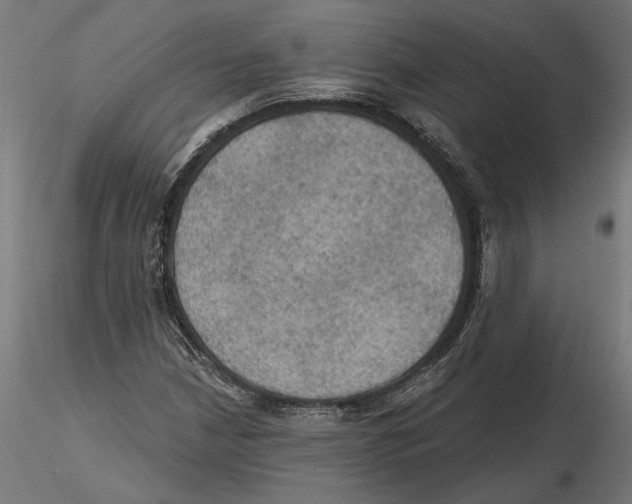 X0000116491210201001061134