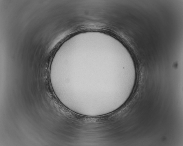 X0000116491211201001061134