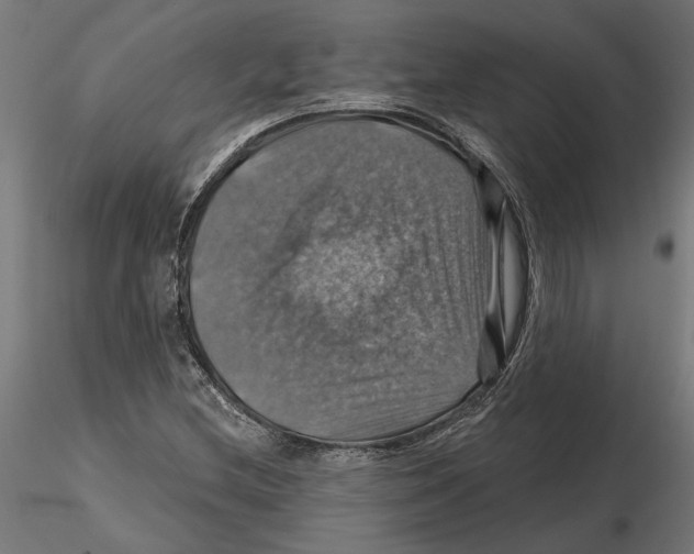 X0000116491212201001061134