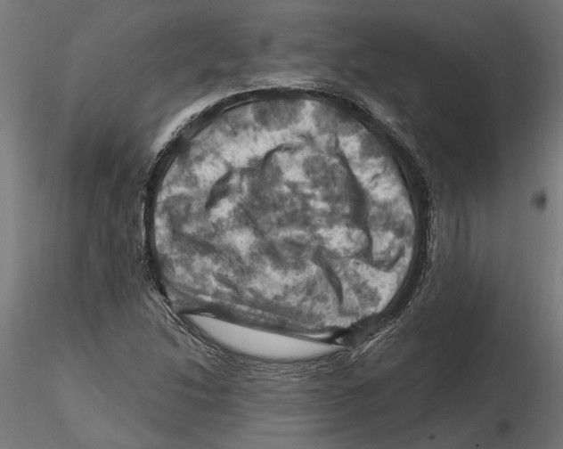 X0000116491214201001061134