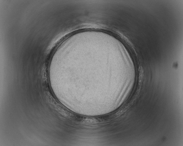 X0000116491215201001061134