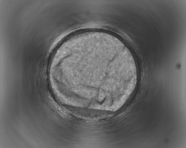 X0000116491216201001061134