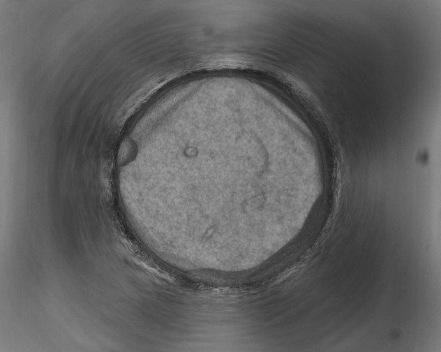 X0000116491217201001061134