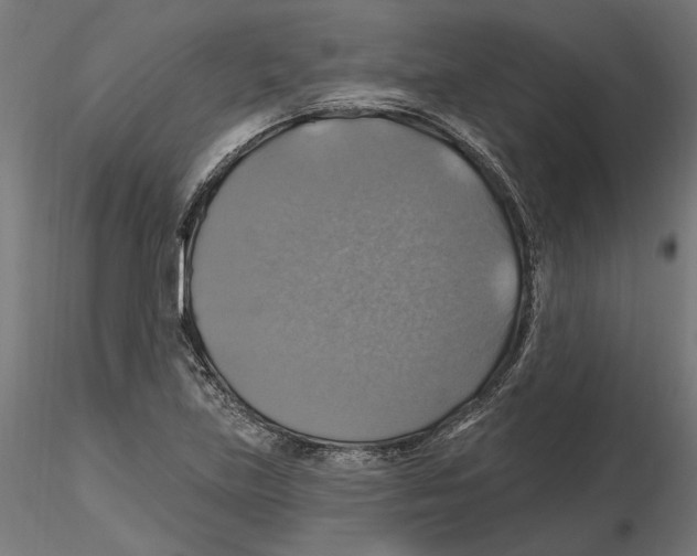 X0000116491219201001061134