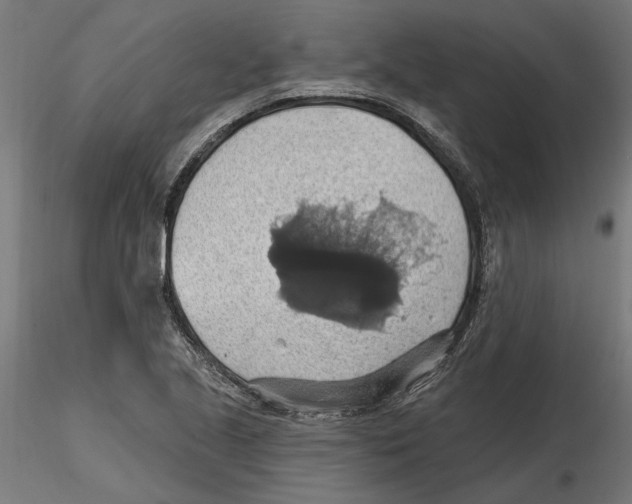 X0000116491221201001061134