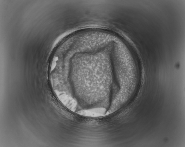 X0000116491222201001061134