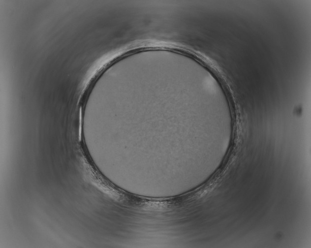 X0000116491223201001061134