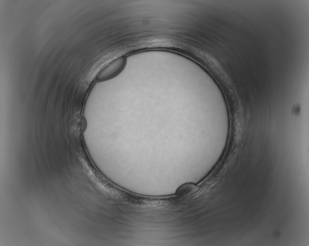 X0000116491225201001061134