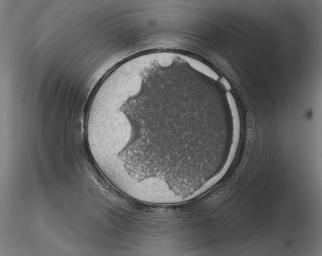 X0000116491226201001061134