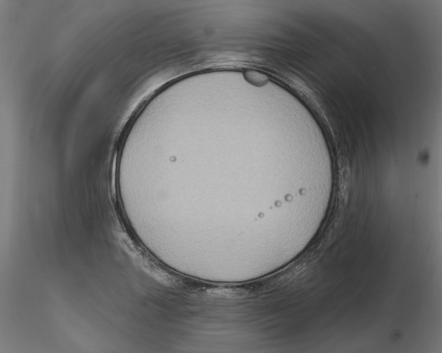 X0000116491227201001061134