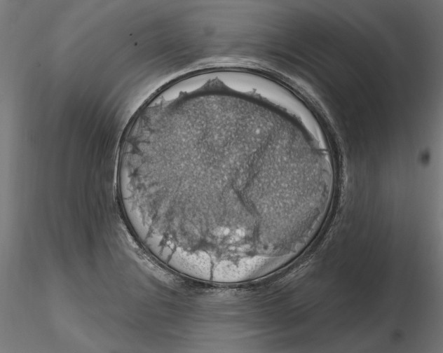 X0000116491228201001061134