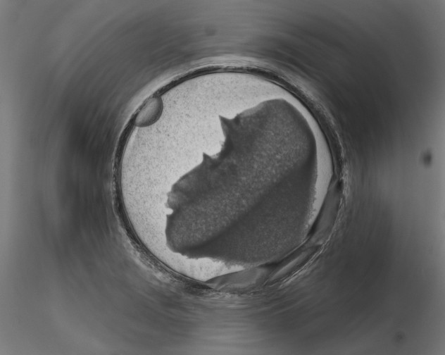 X0000116491229201001061134