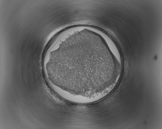 X0000116491230201001061134