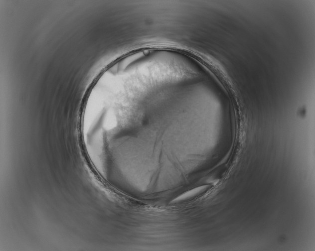 X0000116491231201001061134