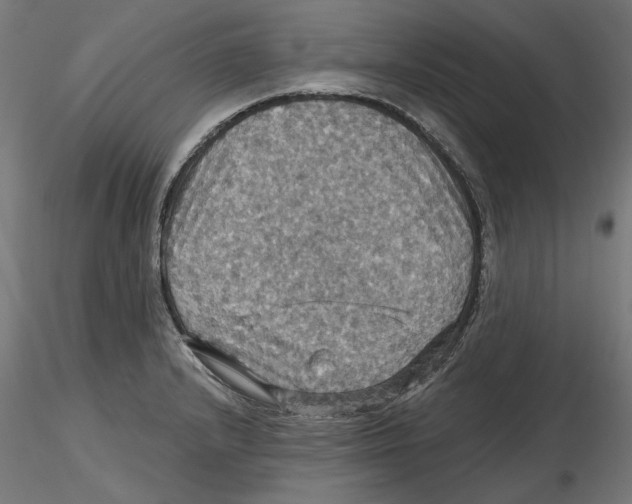 X0000116491232201001061134