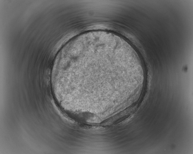 X0000116491233201001061134