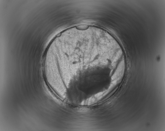 X0000116491235201001061134