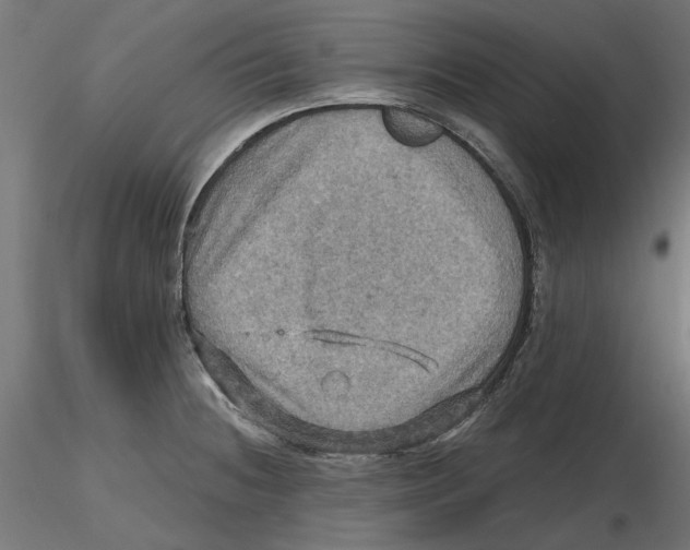 X0000116491236201001061134