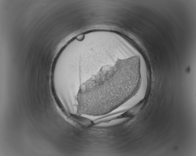 X0000116491237201001061134